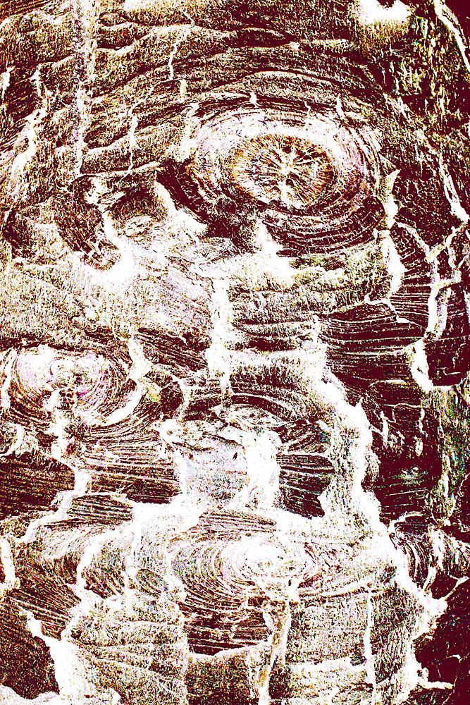 Maria Christidi - Physis Portfolio