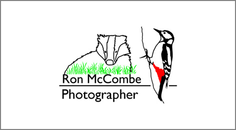 rowan tree hotel hotel logo