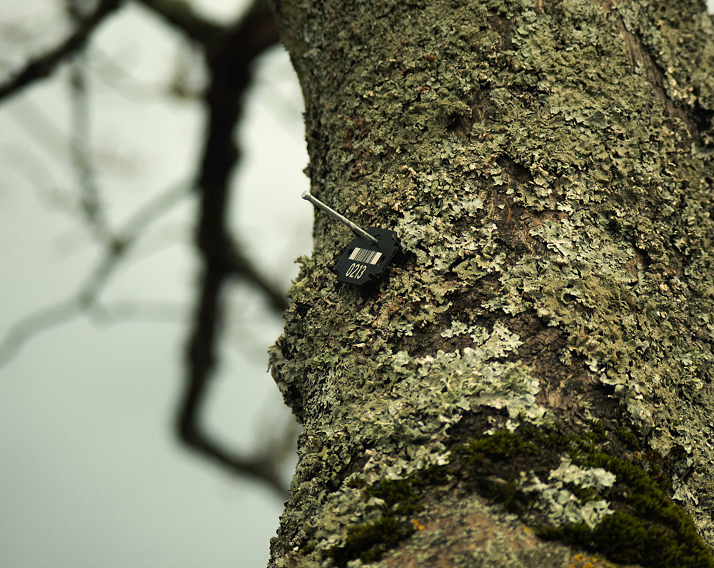 Claire Tytler - Life in the City Portfolio