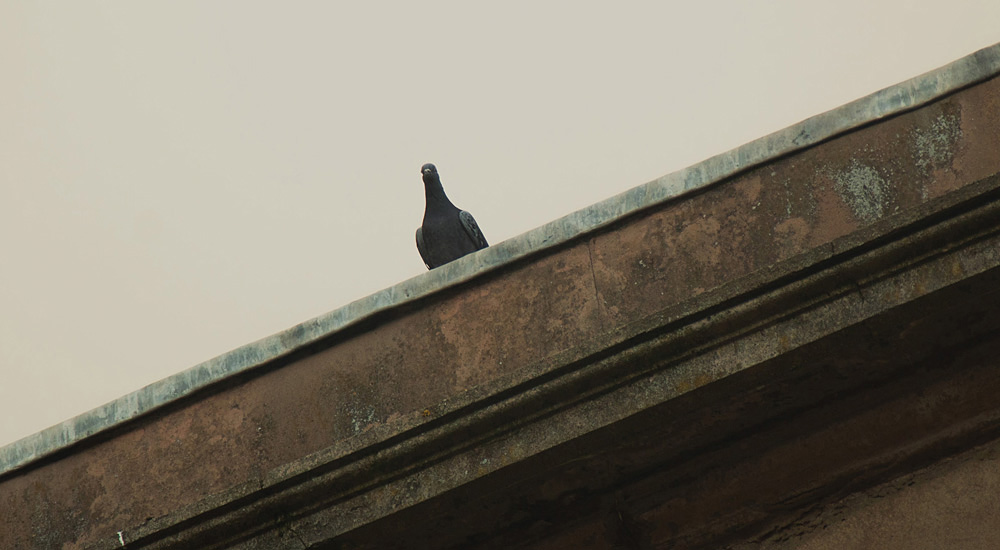 Claire Tytler - Life in the City Portfolio