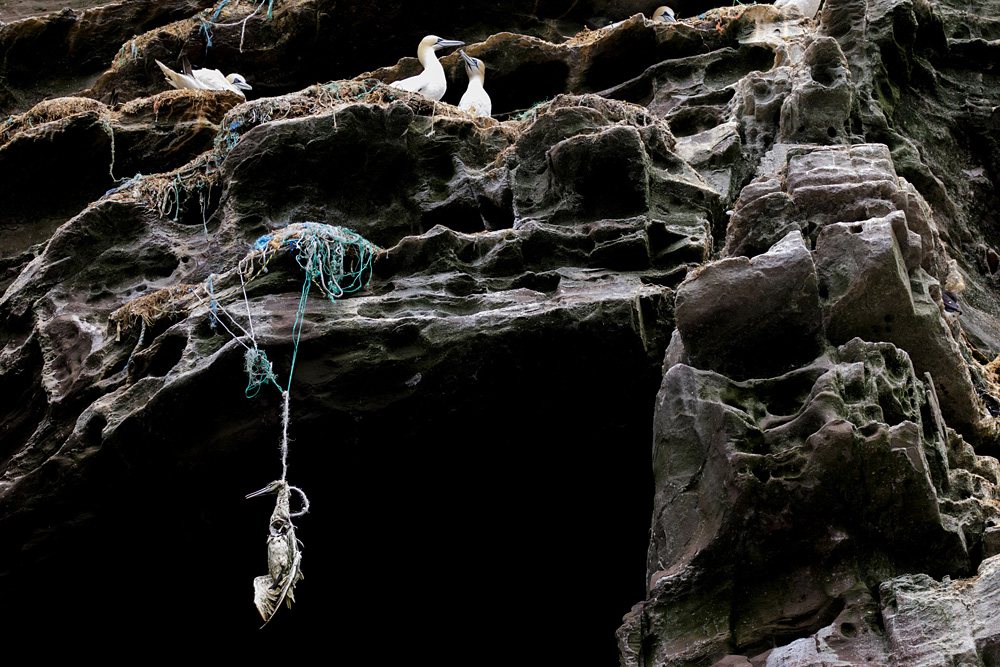 Ruaridh Mitchell - Too Late