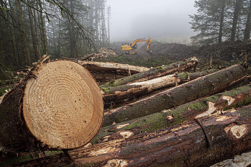 Anthony Robson - Logged