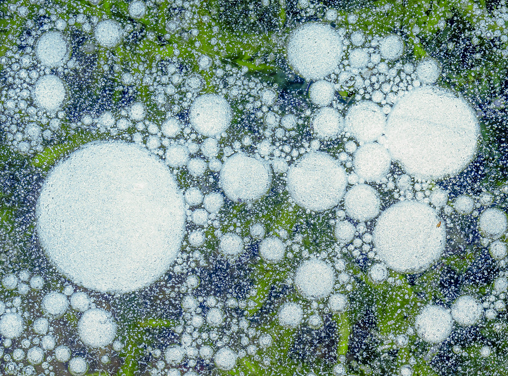 Brian Nicholson - Frozen