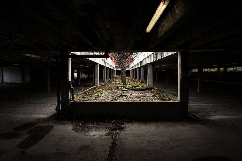 Anthony Robson - Paved Paradise, Put Up a Parking Lot