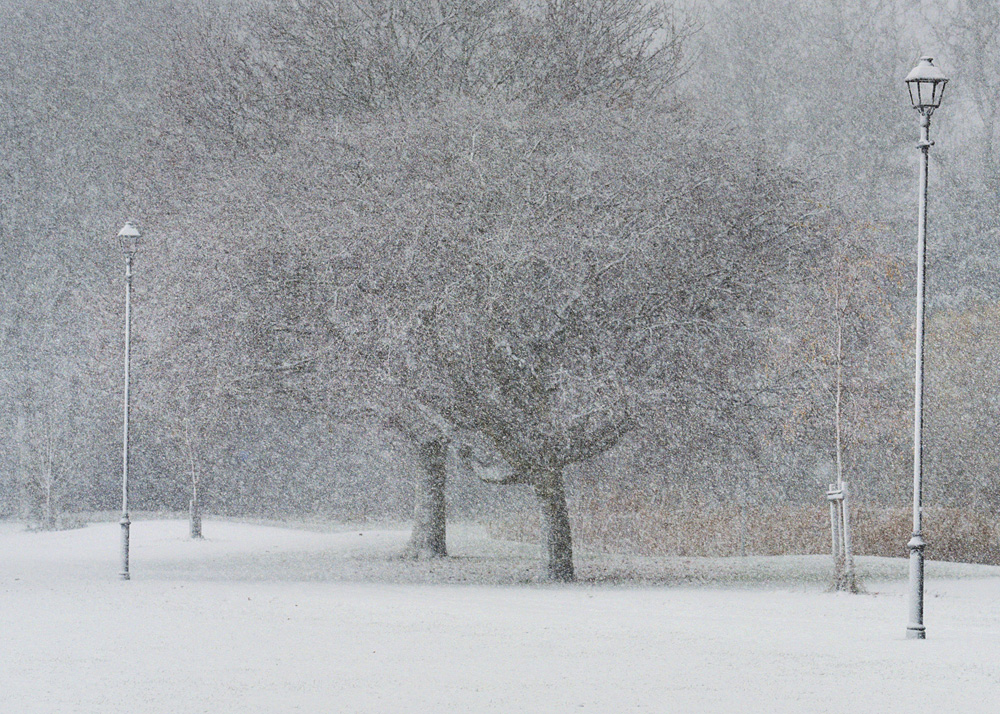 Nicky Goodfellow - Winter has Arrived