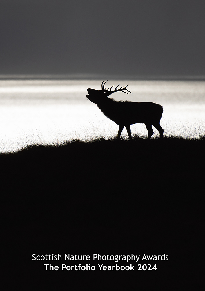  Portfolio Yearbook 2024 front cover