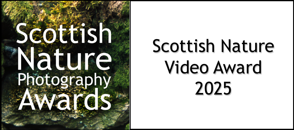 Scottish Nature Video Award 2023 logo